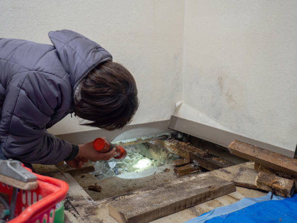 Best Post-Construction Mold Inspection  in Atlantis, FL