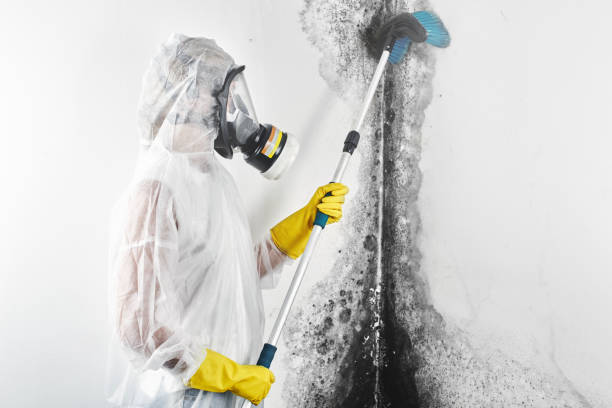 Best Comprehensive Air Testing for Mold Contaminants  in Atlantis, FL