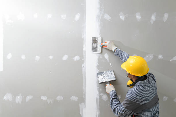 Best Mold Removal for HVAC Installations  in Atlantis, FL