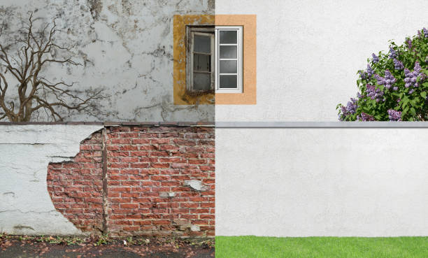 Environmental Consulting for Mold Prevention in Atlantis, FL